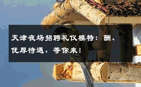 天津夜场招聘礼仪模特：酬、优厚待遇，等你来！