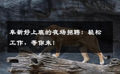 阜新好上班的夜场招聘：轻松工作，等你来！