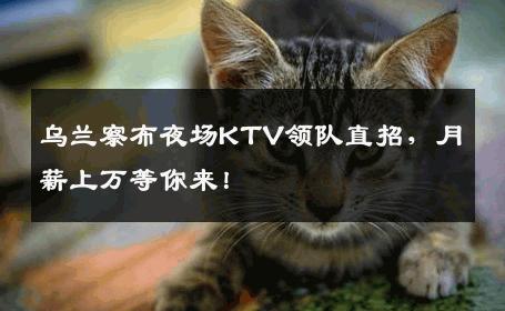 乌兰察布夜场KTV领队直招，月薪上万等你来！