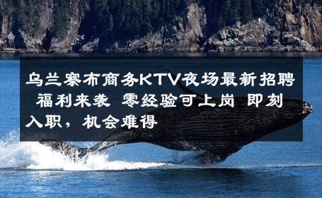 乌兰察布商务KTV夜场最新招聘 福利来袭 零经验可上岗 即刻入职，机会难得