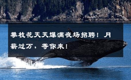 攀枝花天天爆满夜场招聘！月薪过万，等你来！