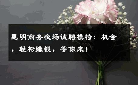 昆明商务夜场诚聘模特：机会，轻松赚钱，等你来！