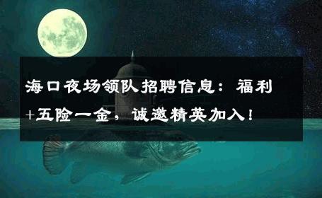海口夜场领队招聘信息：福利+五险一金，诚邀精英加入！