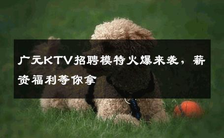 广元KTV招聘模特火爆来袭，薪资福利等你拿