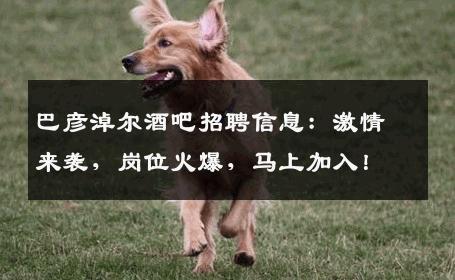巴彦淖尔酒吧招聘信息：激情来袭，岗位火爆，马上加入！