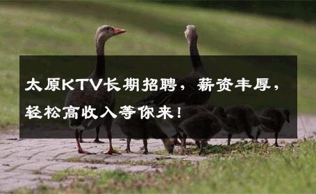 太原KTV长期招聘，薪资丰厚，轻松高收入等你来！