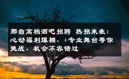 那曲高档酒吧招聘 热招来袭：心动福利爆棚，+专业舞台等你挑战，机会不容错过