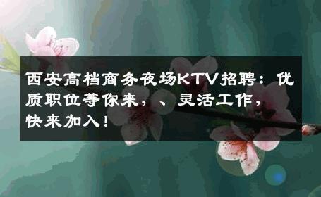 西安高档商务夜场KTV招聘：优质职位等你来，、灵活工作，快来加入！