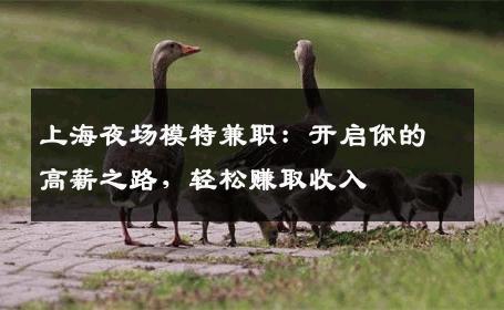 上海夜场模特兼职：开启你的高薪之路，轻松赚取收入