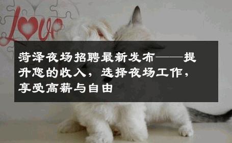 菏泽夜场招聘最新发布——提升您的收入，选择夜场工作，享受高薪与自由