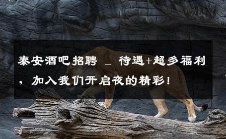 泰安酒吧招聘 _ 待遇+超多福利，加入我们开启夜的精彩！