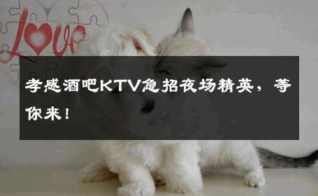 孝感酒吧KTV急招夜场精英，等你来！
