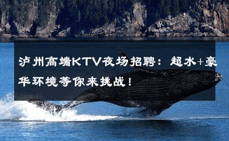 泸州高端KTV夜场招聘：超水+豪华环境等你来挑战！