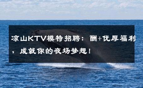 凉山KTV模特招聘：酬+优厚福利，成就你的夜场梦想！