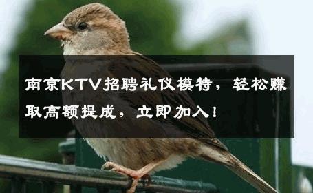 南京KTV招聘礼仪模特，轻松赚取高额提成，立即加入！