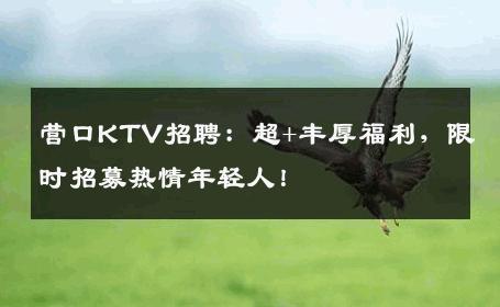 营口KTV招聘：超+丰厚福利，限时招募热情年轻人！