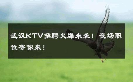 武汉KTV招聘火爆来袭！夜场职位等你来！