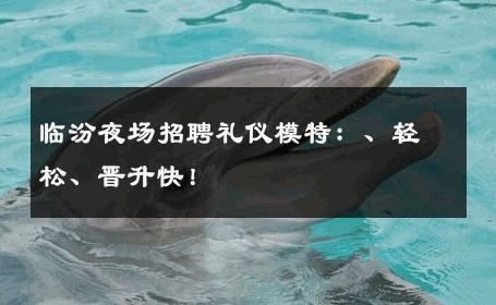 临汾夜场招聘礼仪模特：、轻松、晋升快！