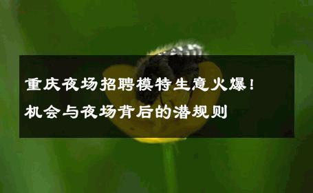 重庆夜场招聘模特生意火爆！机会与夜场背后的潜规则