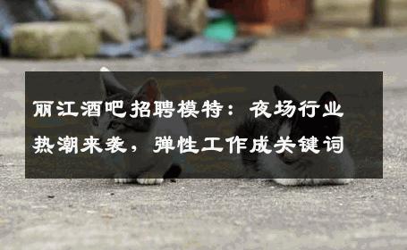 丽江酒吧招聘模特：夜场行业热潮来袭，弹性工作成关键词