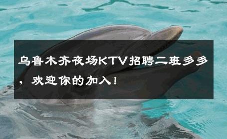 乌鲁木齐夜场KTV招聘二班多多，欢迎你的加入！