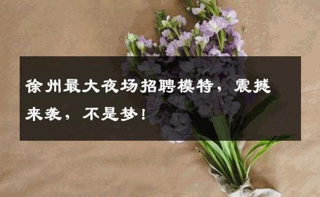 徐州最大夜场招聘模特，震撼来袭，不是梦！