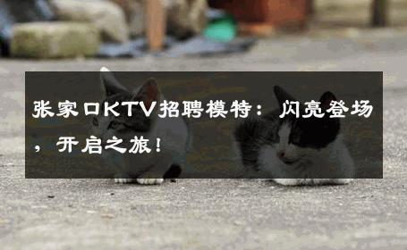 张家口KTV招聘模特：闪亮登场，开启之旅！