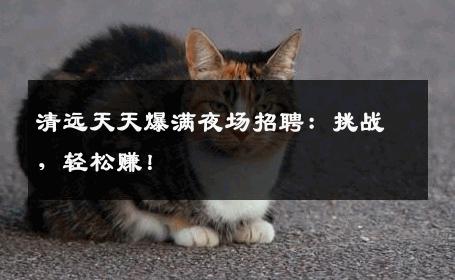 清远天天爆满夜场招聘：挑战，轻松赚！