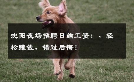 沈阳夜场招聘日结工资：，轻松赚钱，错过后悔！