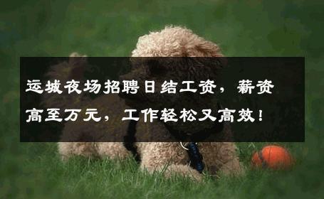 运城夜场招聘日结工资，薪资高至万元，工作轻松又高效！
