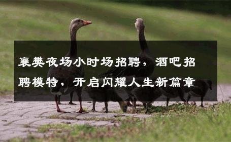 襄樊夜场小时场招聘，酒吧招聘模特，开启闪耀人生新篇章