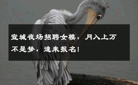宣城夜场招聘女模，月入上万不是梦，速来报名！