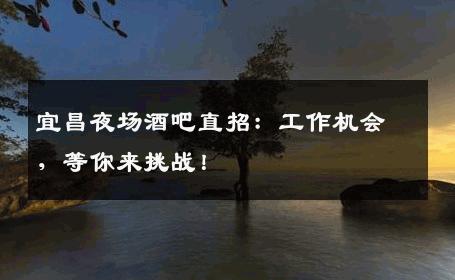 宜昌夜场酒吧直招：工作机会，等你来挑战！