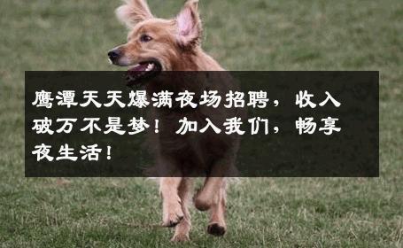 鹰潭天天爆满夜场招聘，收入破万不是梦！加入我们，畅享夜生活！