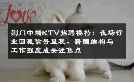 荆门中端KTV招聘模特：夜场行业回暖信号显现，薪酬结构与工作强度成关注焦点