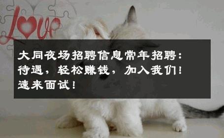 大同夜场招聘信息常年招聘：待遇，轻松赚钱，加入我们！速来面试！