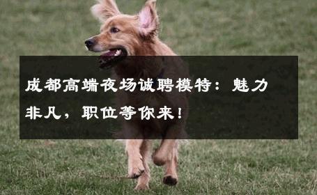 成都高端夜场诚聘模特：魅力非凡，职位等你来！