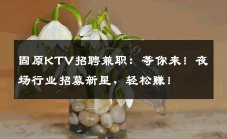 固原KTV招聘兼职：等你来！夜场行业招募新星，轻松赚！