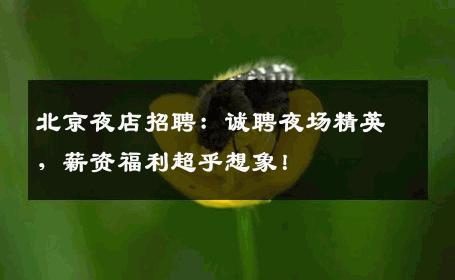 北京夜店招聘：诚聘夜场精英，薪资福利超乎想象！