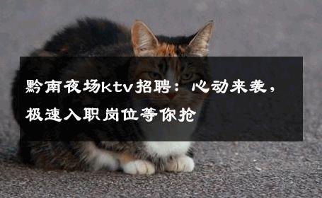黔南夜场ktv招聘：心动来袭，极速入职岗位等你抢