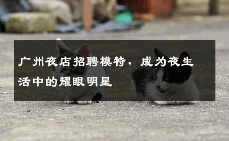 广州夜店招聘模特，成为夜生活中的耀眼明星