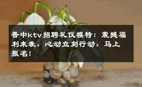 晋中ktv招聘礼仪模特：震撼福利来袭，心动立刻行动，马上报名！