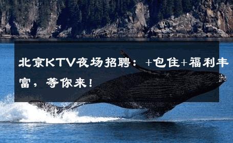 北京KTV夜场招聘：+包住+福利丰富，等你来！
