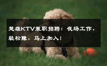 楚雄KTV兼职招聘：夜场工作，轻松赚，马上加入！