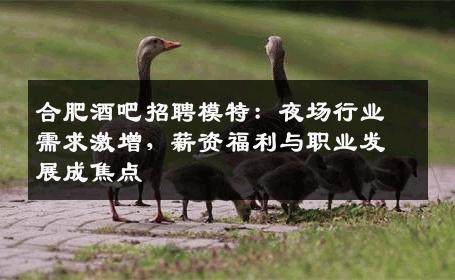 合肥酒吧招聘模特：夜场行业需求激增，薪资福利与职业发展成焦点