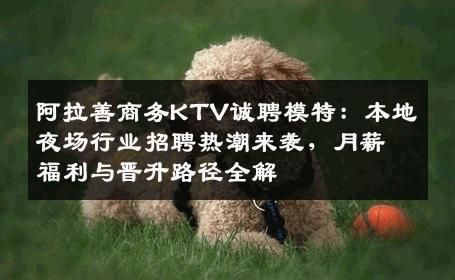 阿拉善商务KTV诚聘模特：本地夜场行业招聘热潮来袭，月薪福利与晋升路径全解