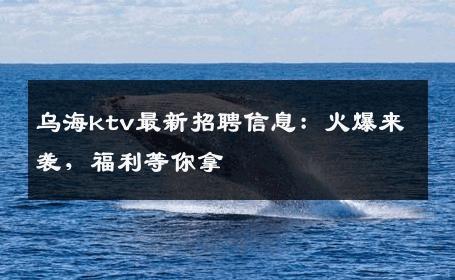 乌海ktv最新招聘信息：火爆来袭，福利等你拿