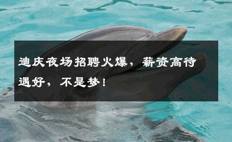 迪庆夜场招聘火爆，薪资高待遇好，不是梦！