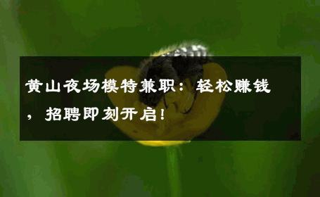 黄山夜场模特兼职：轻松赚钱，招聘即刻开启！
