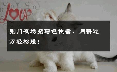 荆门夜场招聘包住宿，月薪过万轻松赚！